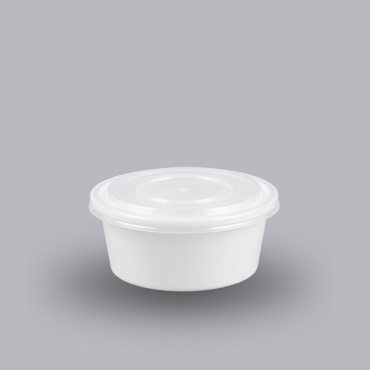 250 ML Food Storage Containers with Lids