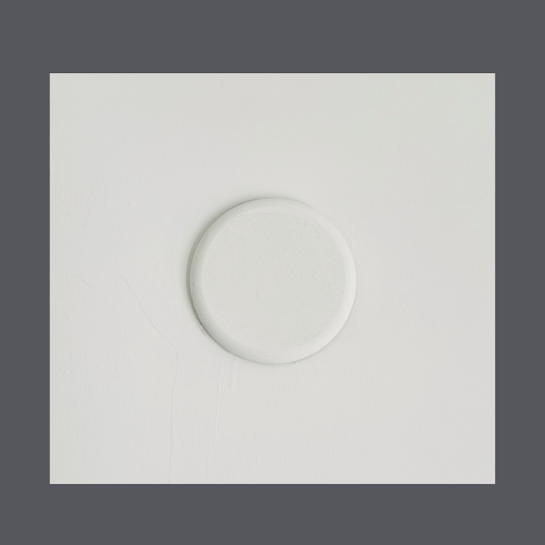 Ceiling rose for home and interior decoration 